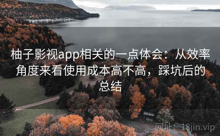 柚子影视app相关的一点体会：从效率角度来看使用成本高不高，踩坑后的总结