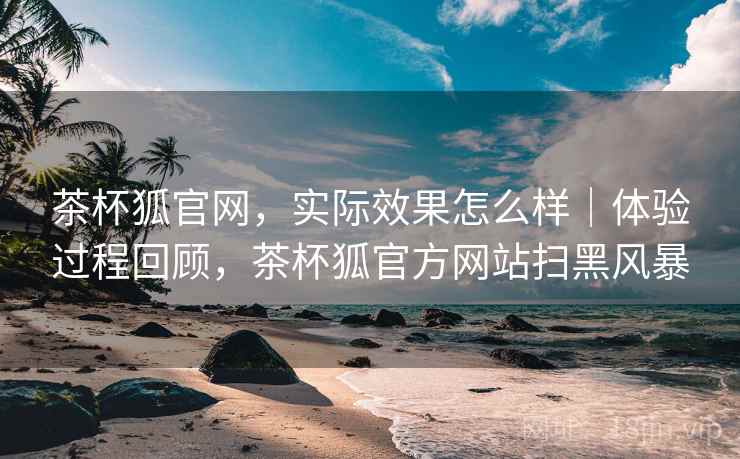茶杯狐官网，实际效果怎么样｜体验过程回顾，茶杯狐官方网站扫黑风暴
