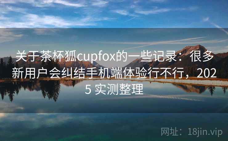 关于茶杯狐cupfox的一些记录：很多新用户会纠结手机端体验行不行，2025 实测整理
