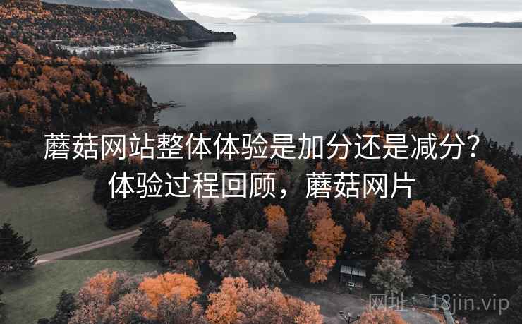 蘑菇网站整体体验是加分还是减分？体验过程回顾，蘑菇网片