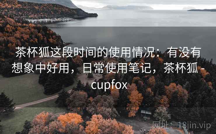 茶杯狐这段时间的使用情况：有没有想象中好用，日常使用笔记，茶杯狐 - cupfox